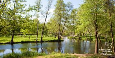 Park zdrojowy